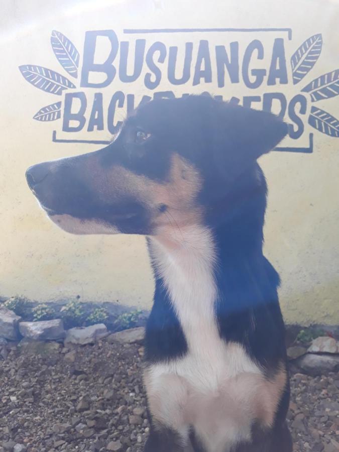 Hostel Busuanga Backpackers Concepcion  Exteriér fotografie